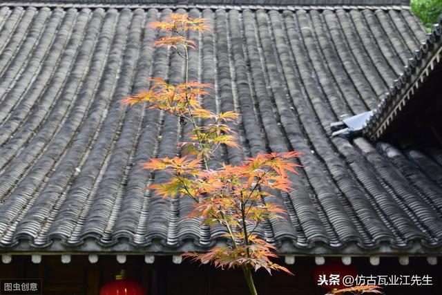 導讀：農(nóng)村蓋房用樹脂瓦適合嗎？聽完行家的分析，恍然大悟