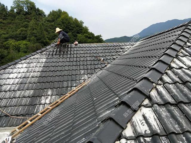 30元一平的樹脂瓦省錢又耐用?網(wǎng)友:吃飽沒(méi)事干,用一年就得換